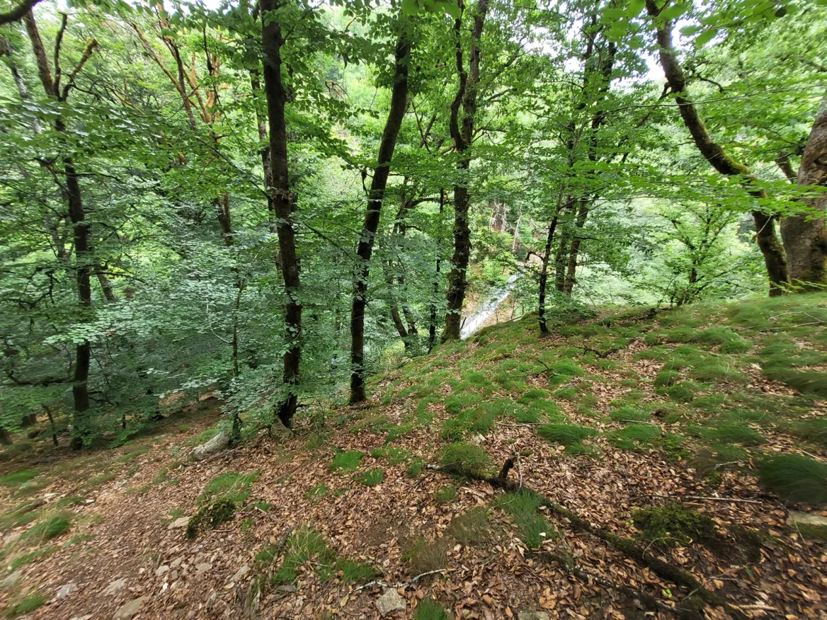 The Black Rocks Viaduct