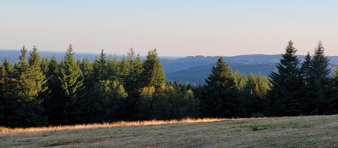 Meadow tour of Mont Bessou