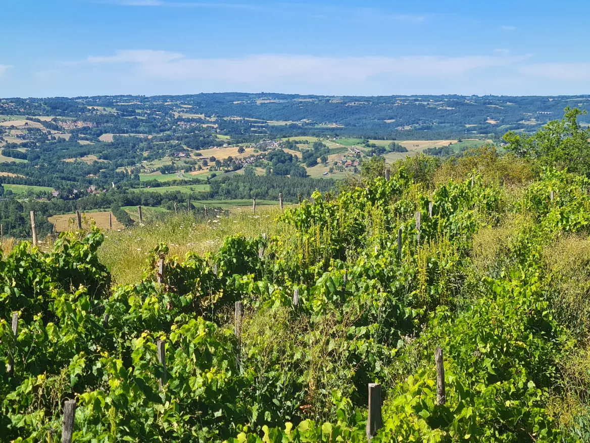 Yssandonnais and its few remaining vineyards
