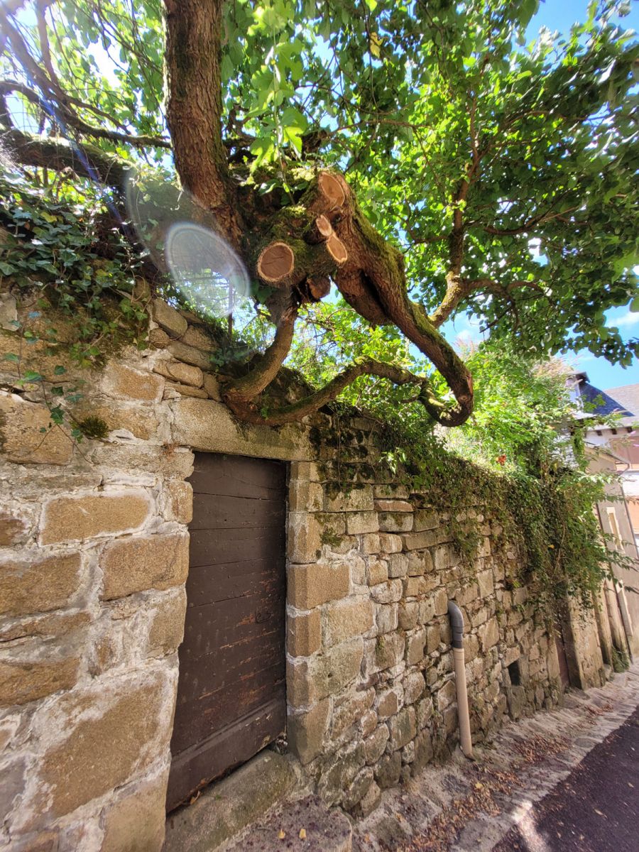 Treignac