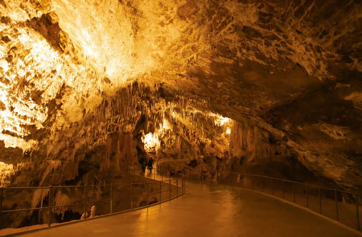 chasm la fage
