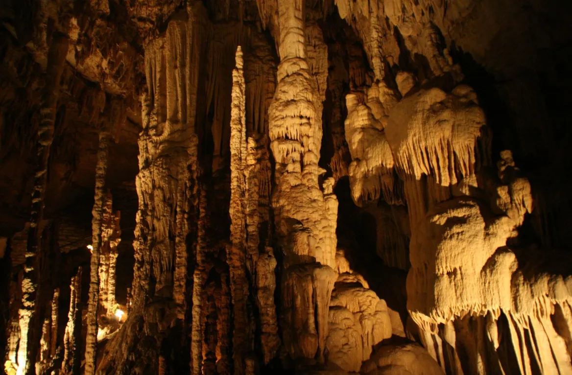 chasm la fage