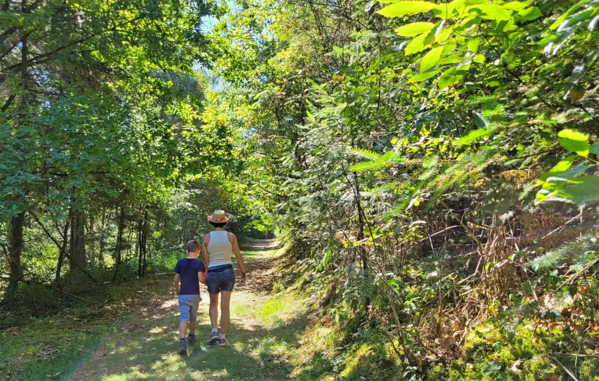 The Pig Path