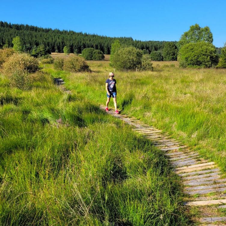 Why not take a nature walk? - Rendez-vous at the Tourbières de Longeyroux