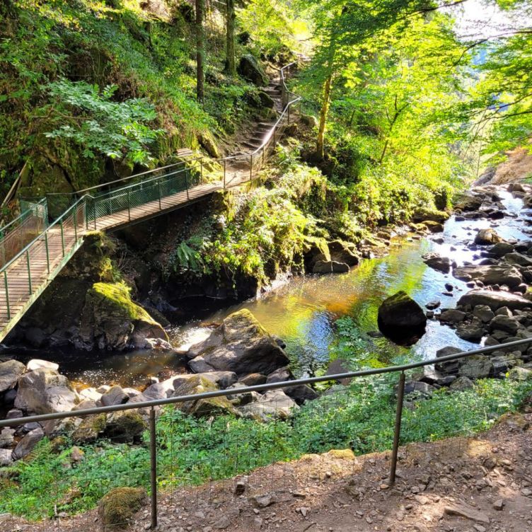 A must in Corrèze! - Come and visit Gimel-les-Cascades