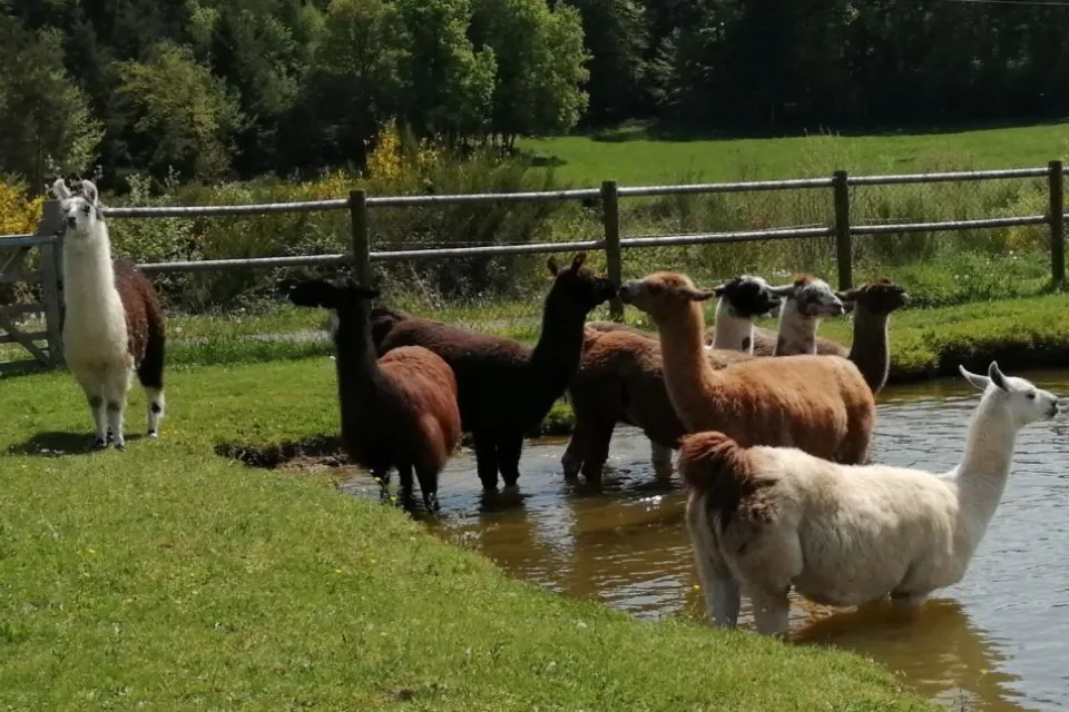Ferme pédagogique et slow tourisme nature en C ...