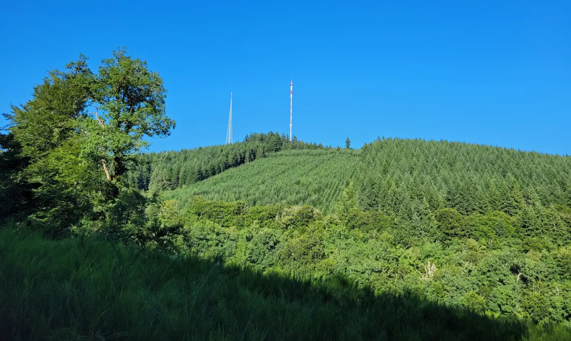 Mount Bessou
