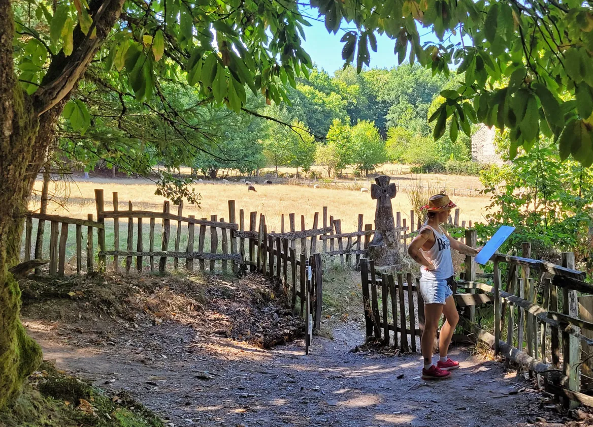 Medieval Farms